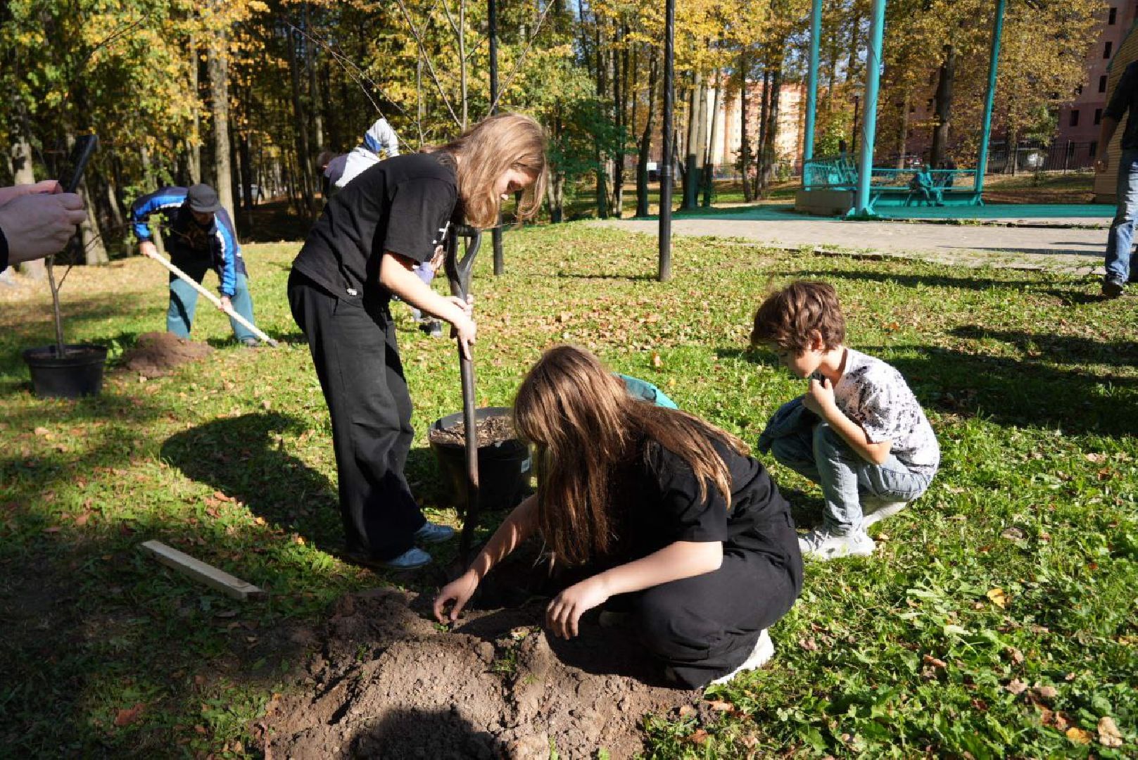 Сергиево-Посадский городской округ, Сергиев Посад, Экология, Акция, Наш лес, Посади свое дерево, Озеленение,