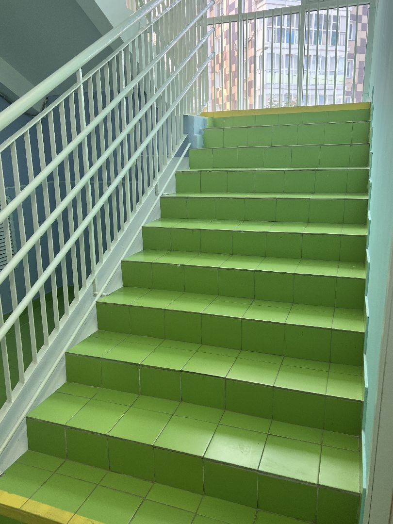 Солнечногорск, Детский сад, Мелодия леса, Педагоги, ремонт,