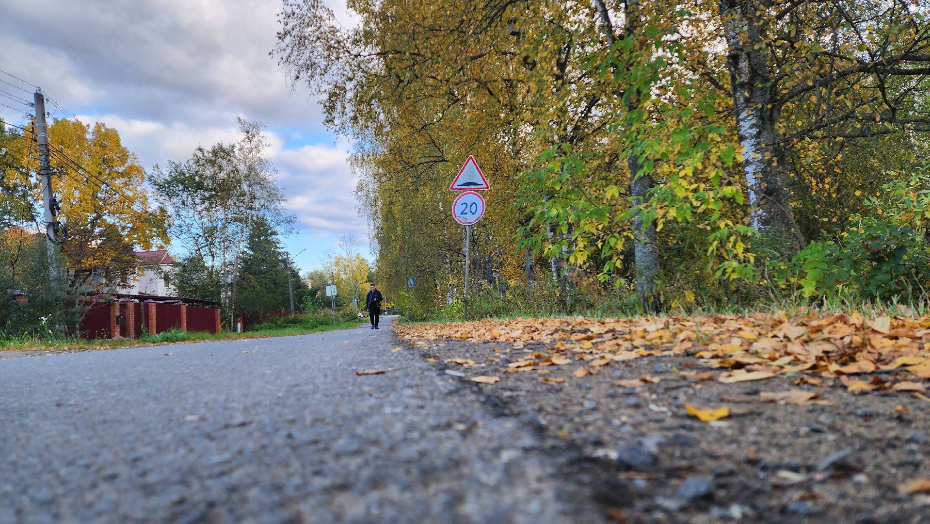 Подмосковье, городской округ пушкинский, ашукино, сельская местность, пушкинская электросеть, благоуйстройство,