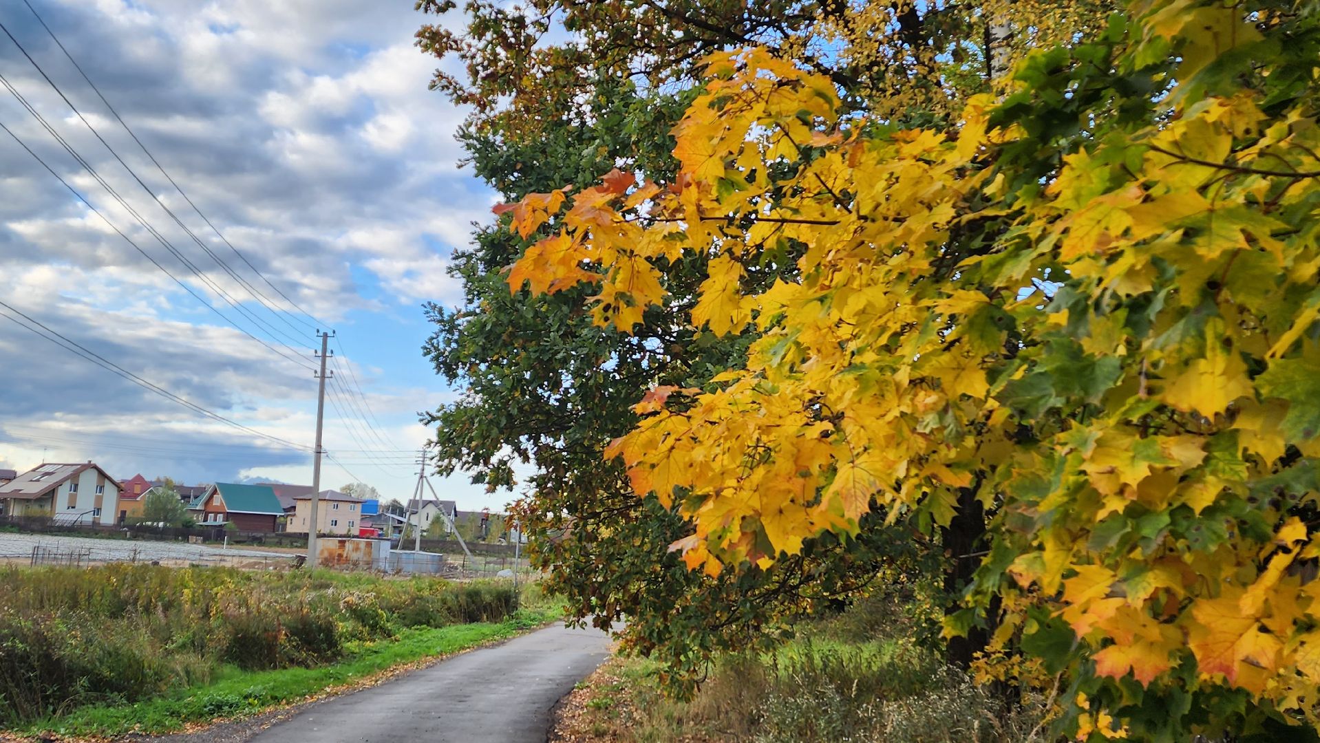 Подмосковье, городской округ пушкинский, ашукино, сельская местность, пушкинская электросеть, благоуйстройство,