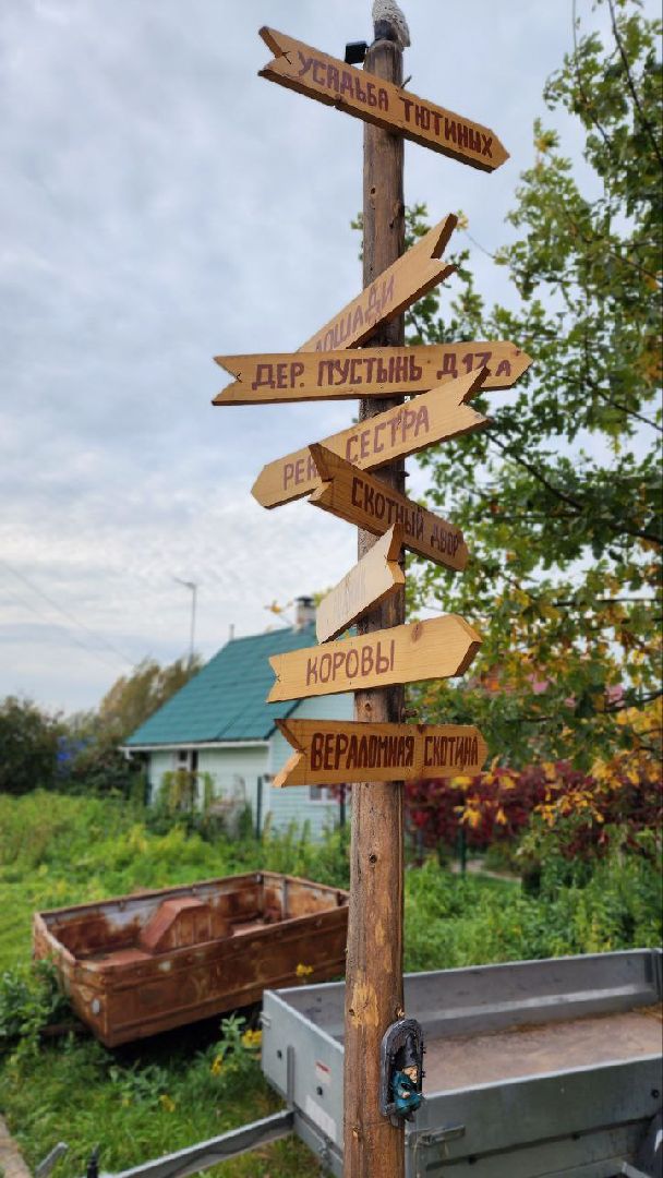 Дмитров, Медведева пустынь, Институт археологии,