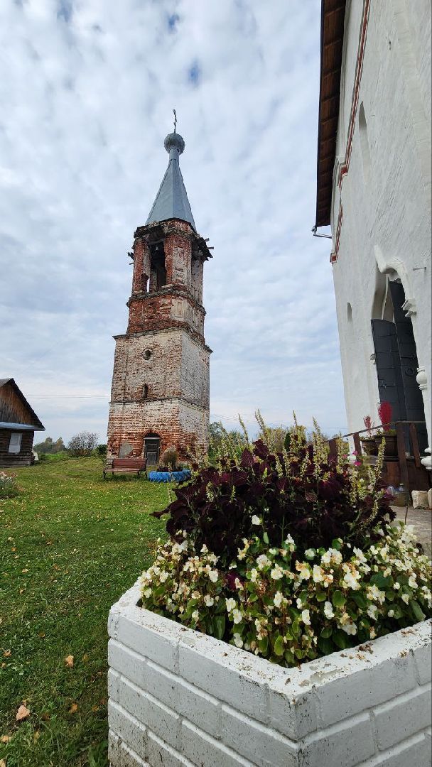 Дмитров, Медведева пустынь, Институт археологии,