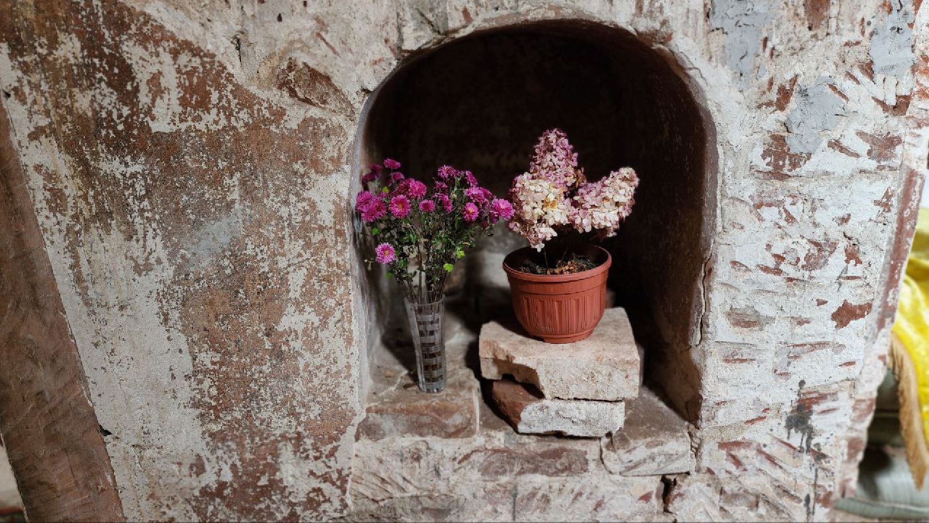 Дмитров, Медведева пустынь, Институт археологии,