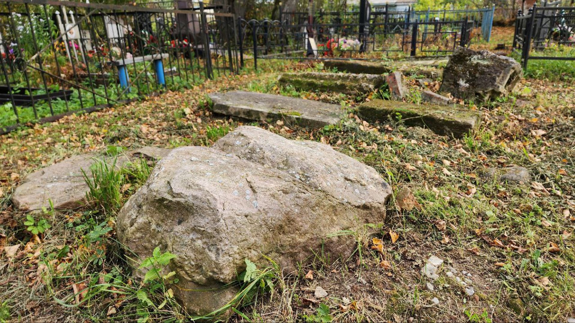 Дмитров, Медведева пустынь, Институт археологии,