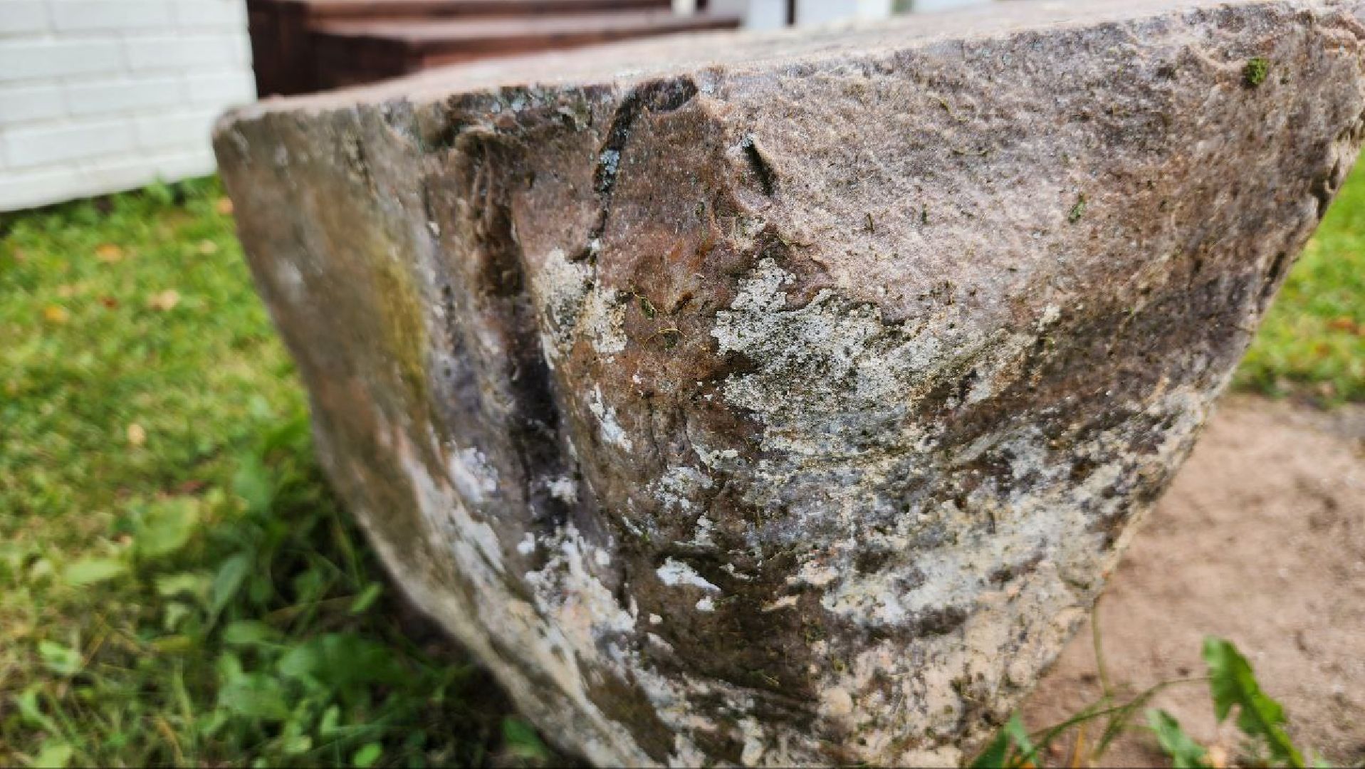 Дмитров, Медведева пустынь, Институт археологии,