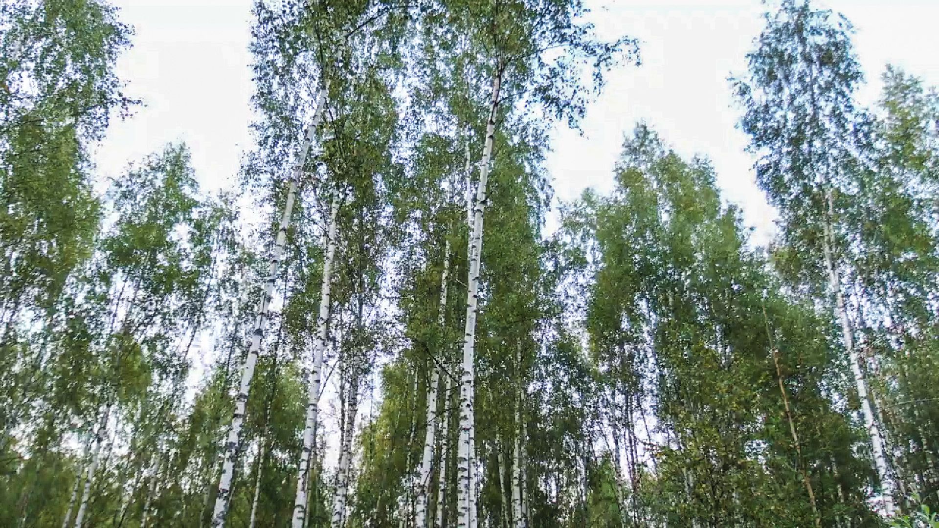 Клин, общество, экономика, туризм,