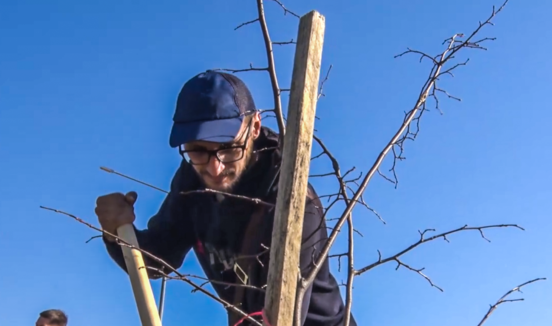 Клин, общество, акции, благоуйстройство, экология,