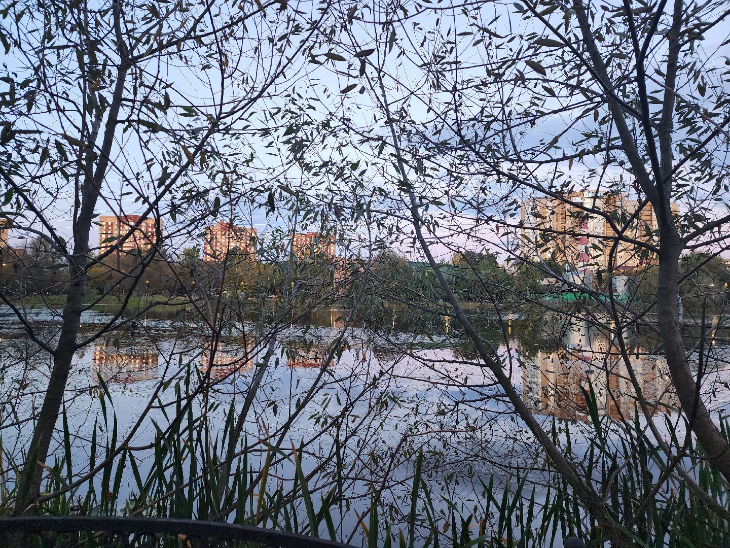 пушкино,