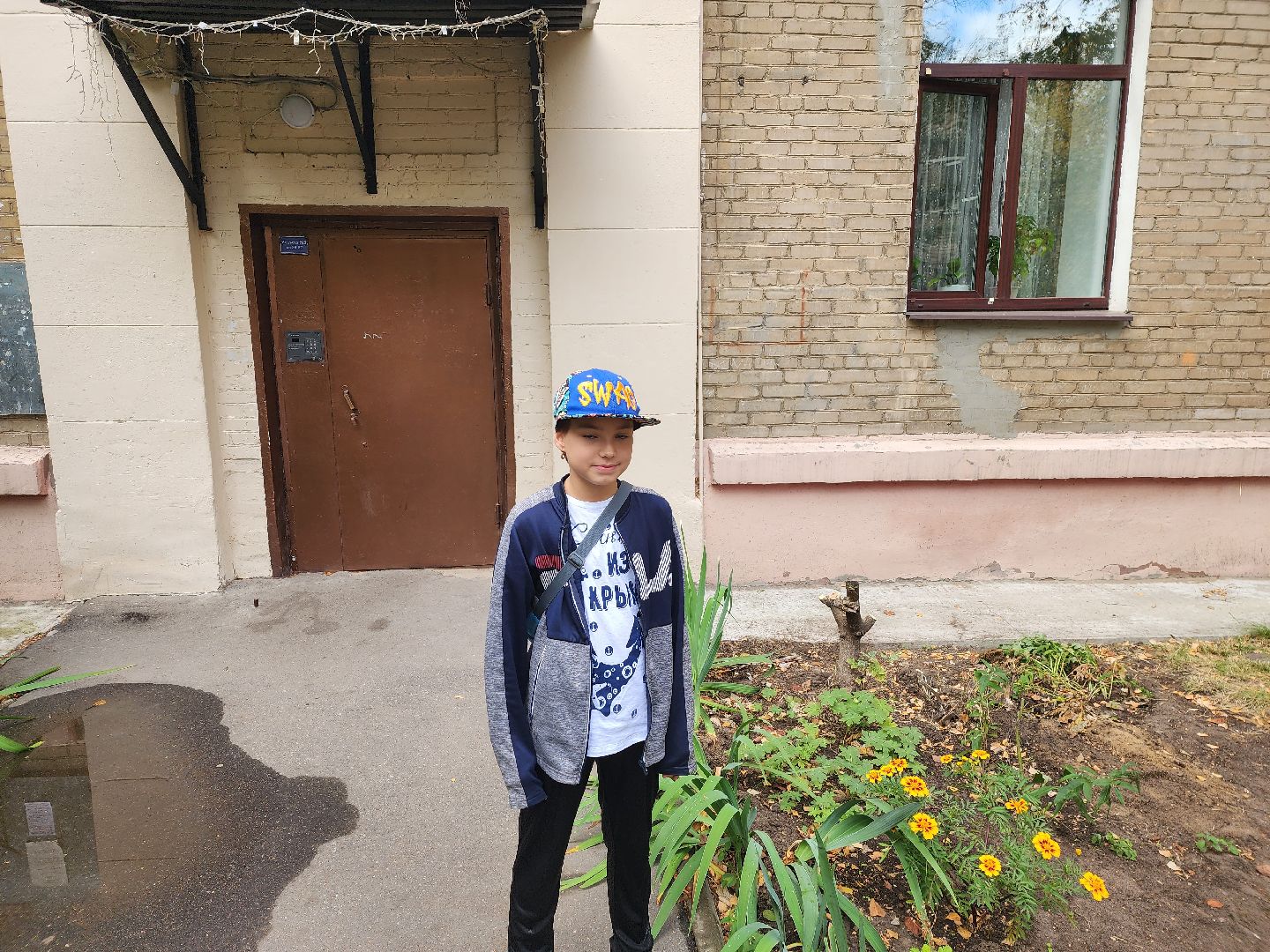 Полина Голосная, клумба, палисадник, растения,