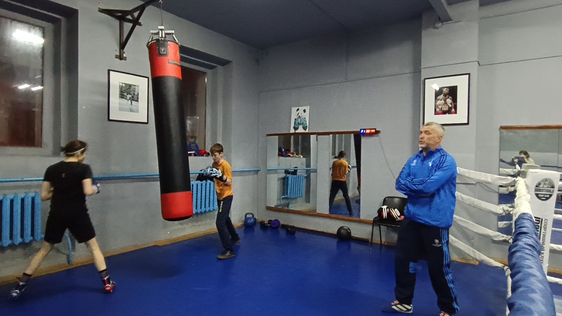 лобня, спорт, бокс,