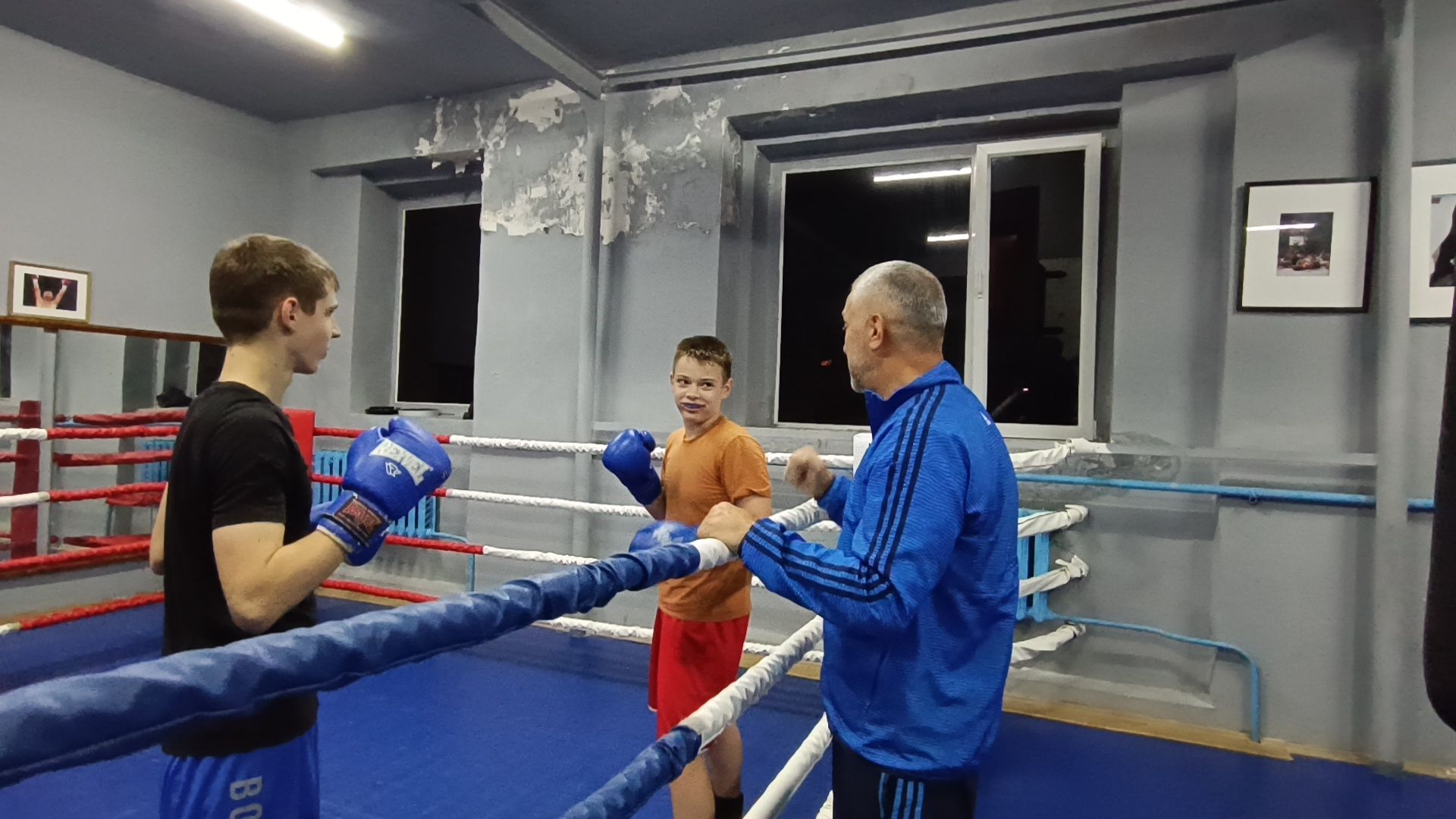 лобня, спорт, бокс,