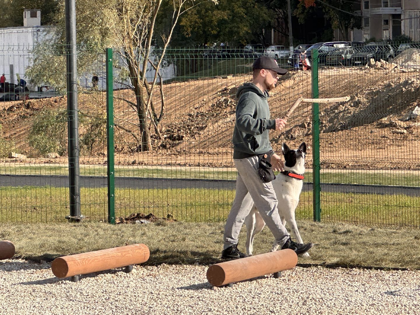 Одинцово, Благоустройство, Парки Подмосковья, Собаки,