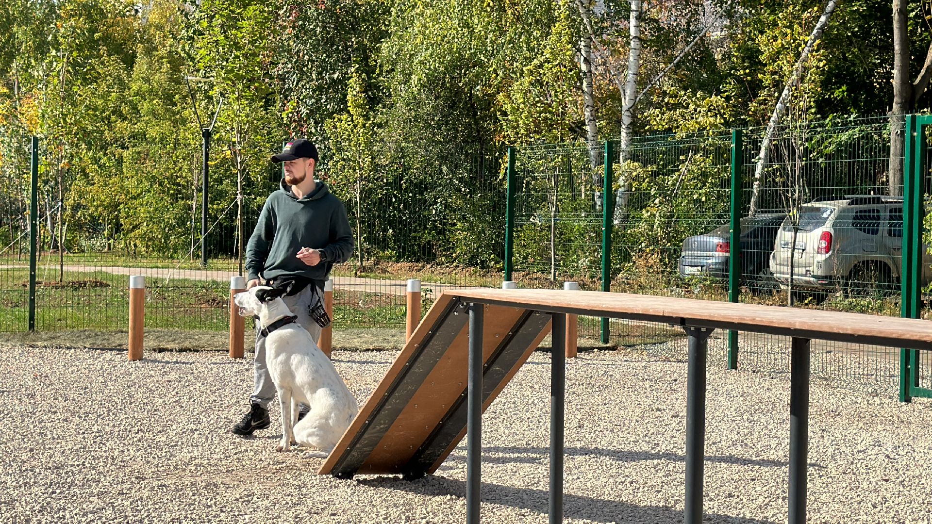 Одинцово, Благоустройство, Парки Подмосковья, Собаки,