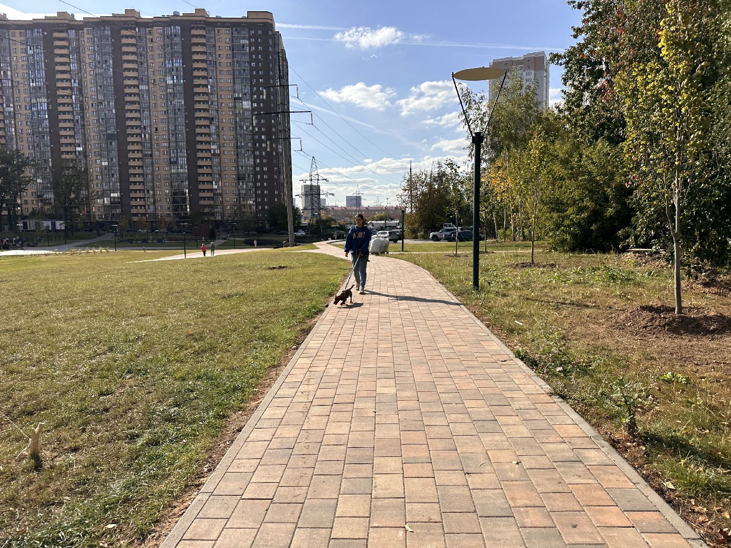 Одинцово, Благоустройство, Парки Подмосковья, Собаки,