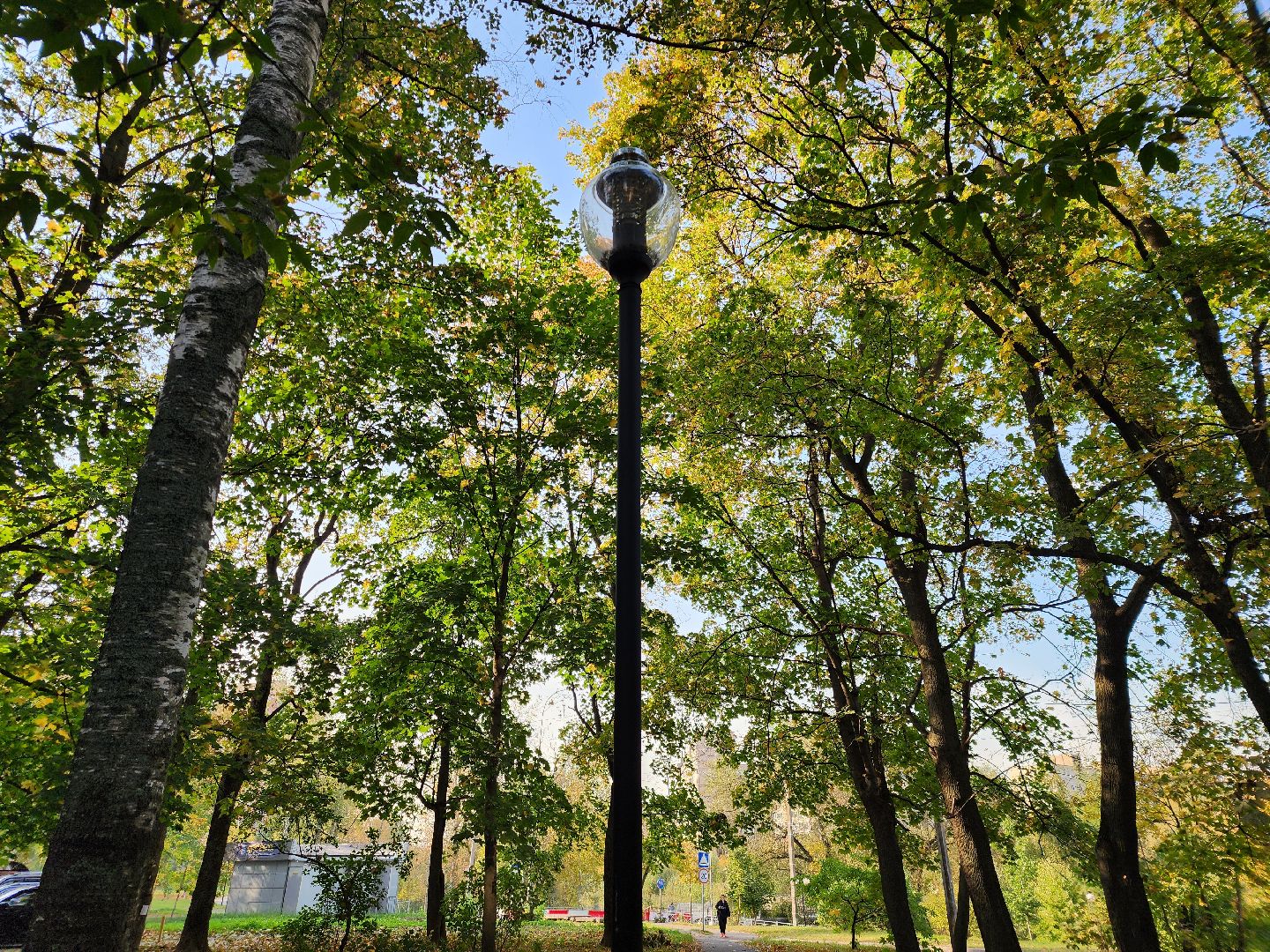 Уличное освещение, мытищи, Замена фонарей,