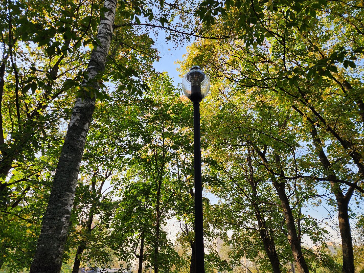 Уличное освещение, мытищи, Замена фонарей,