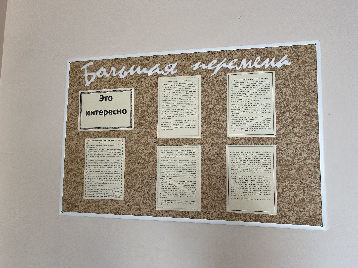 Шаховская, учитель, директор, ученики, школа,