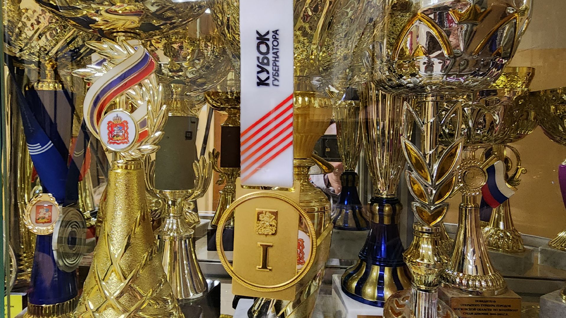 подмосковье, городской округ пушкинский, Ивантеевка, Спорт, волейбол, СШ Ивантеевка,