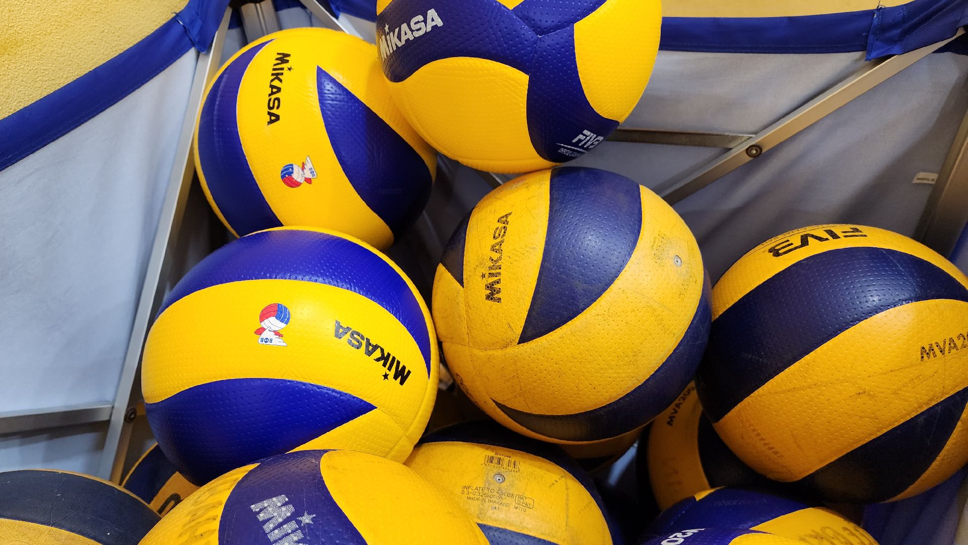 подмосковье, городской округ пушкинский, Ивантеевка, Спорт, волейбол, СШ Ивантеевка,