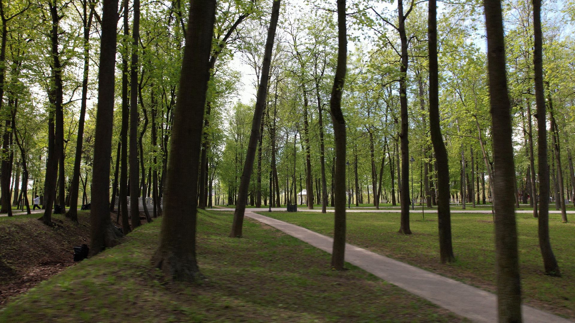 парк, кривякино, воскресенск,видео с коптера,