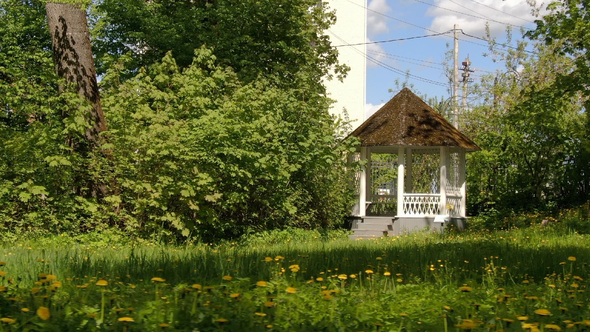 чайковский, клин, композитор,видео с коптера,