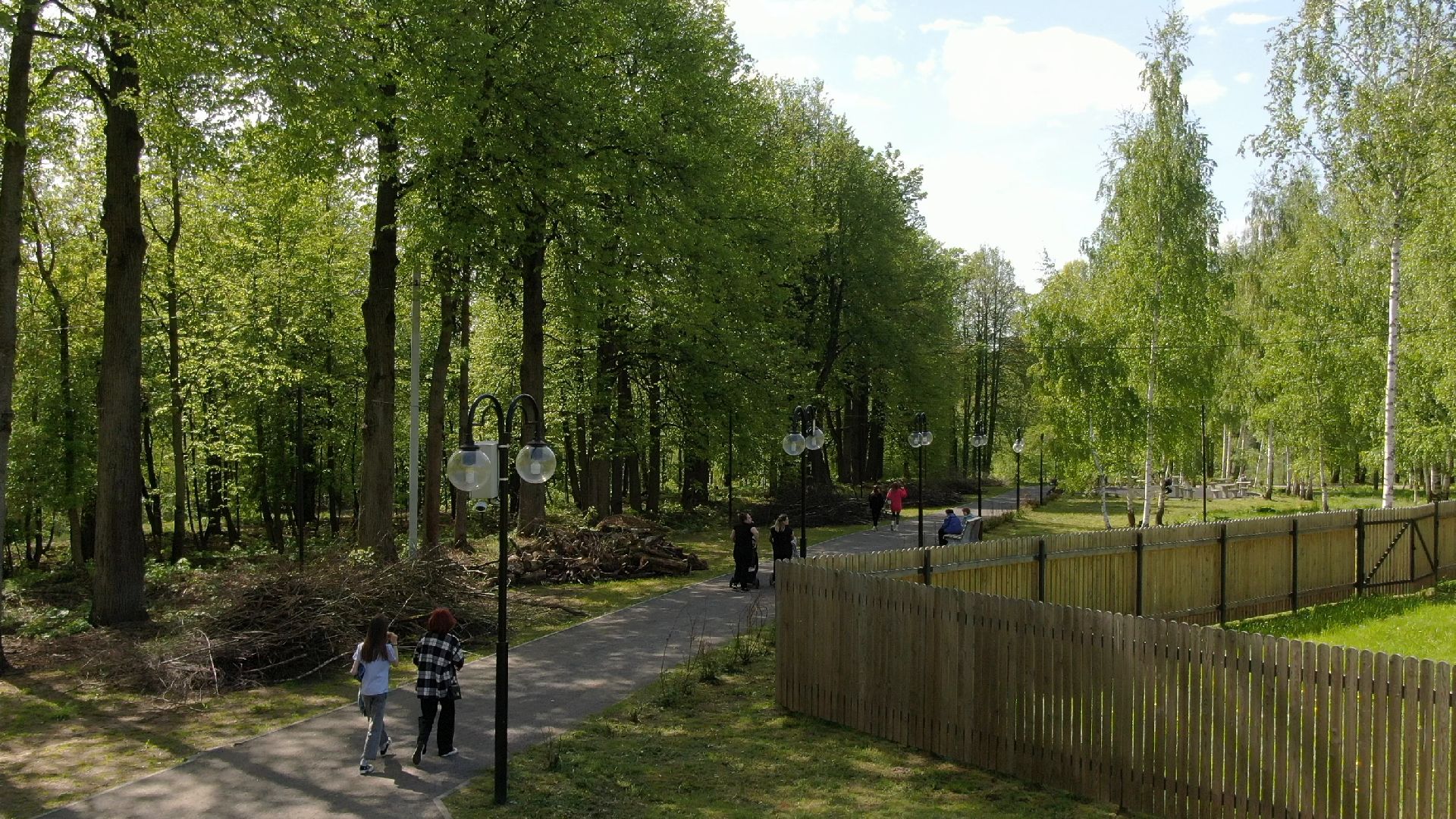 парк, сестрорецкий, клин,видео с коптера,