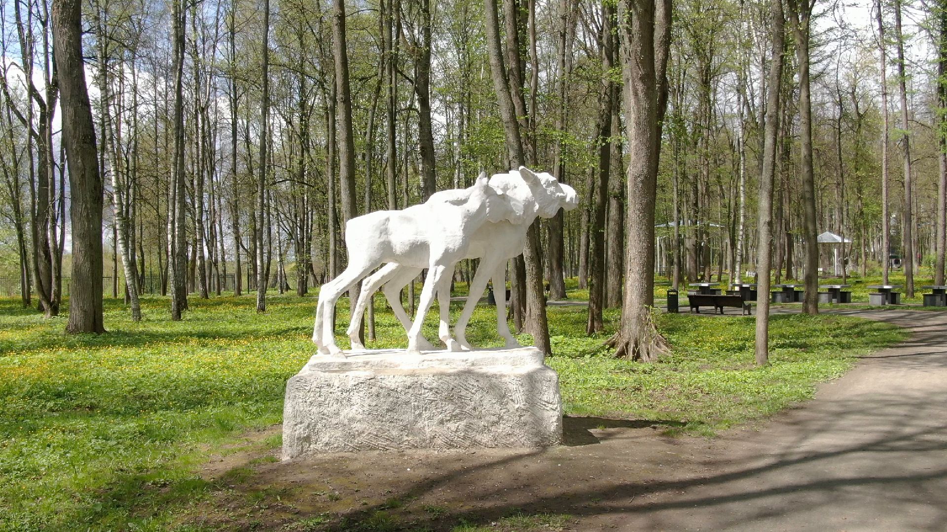 парк, наро-фоминск,видео с коптера,