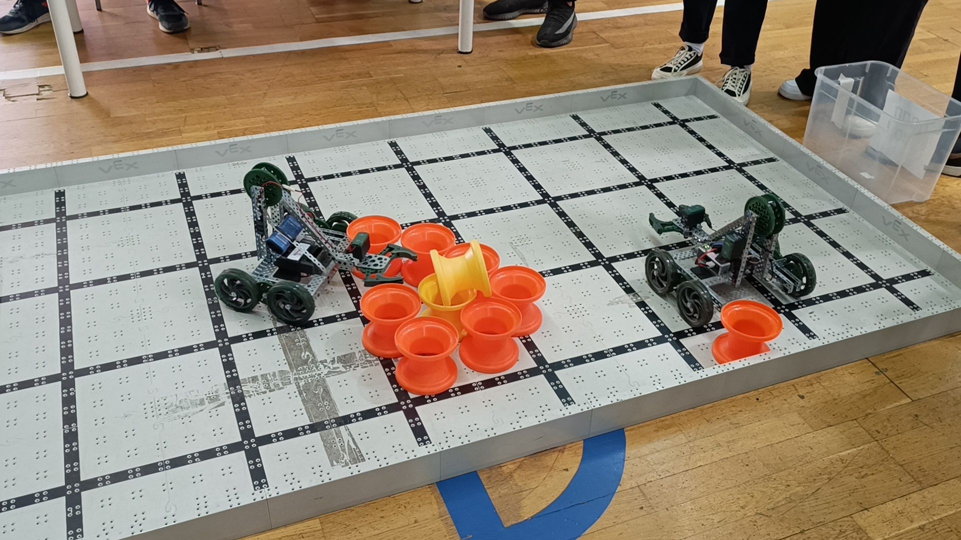 лобня, образование, профессия, фестиваль,