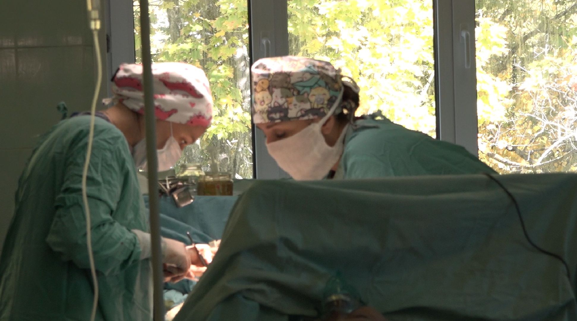 киста-чудовище, Домодедовская больница,