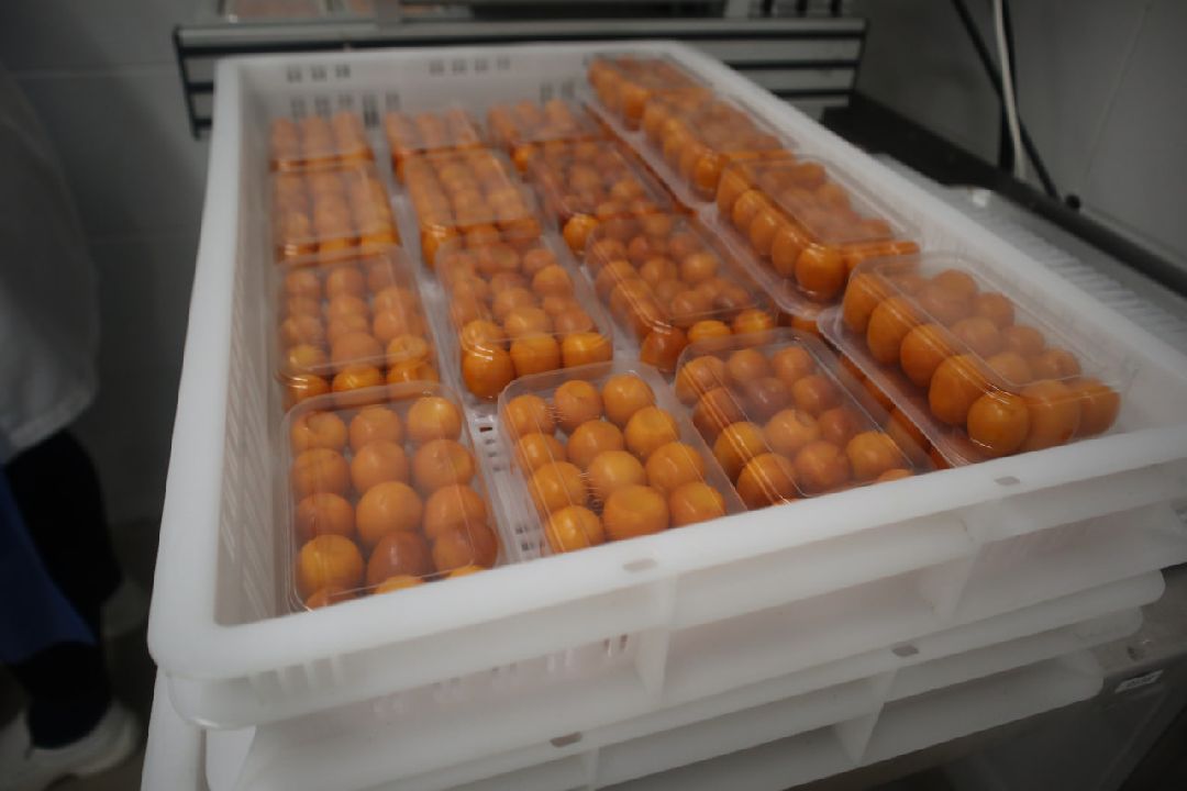 Пущино, Серпухов, Шепилово, Подмосковье, предприятие, минсельхоз, аграрии, сельское хозяйство, фермерство, перепела, птицеводство