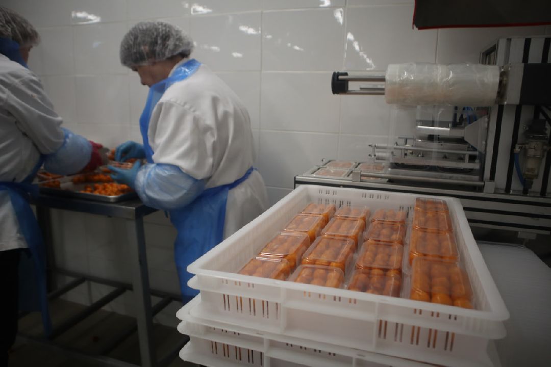 Пущино, Серпухов, Шепилово, Подмосковье, предприятие, минсельхоз, аграрии, сельское хозяйство, фермерство, перепела, птицеводство