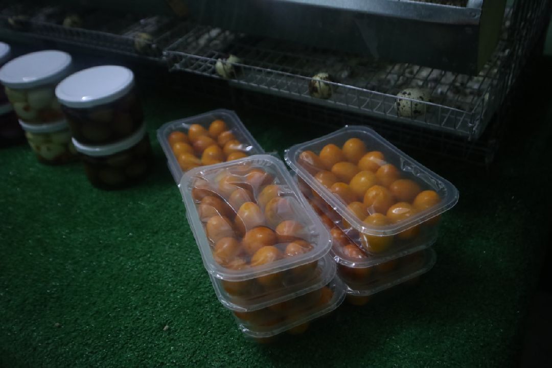 Пущино, Серпухов, Шепилово, Подмосковье, предприятие, минсельхоз, аграрии, сельское хозяйство, фермерство, перепела, птицеводство