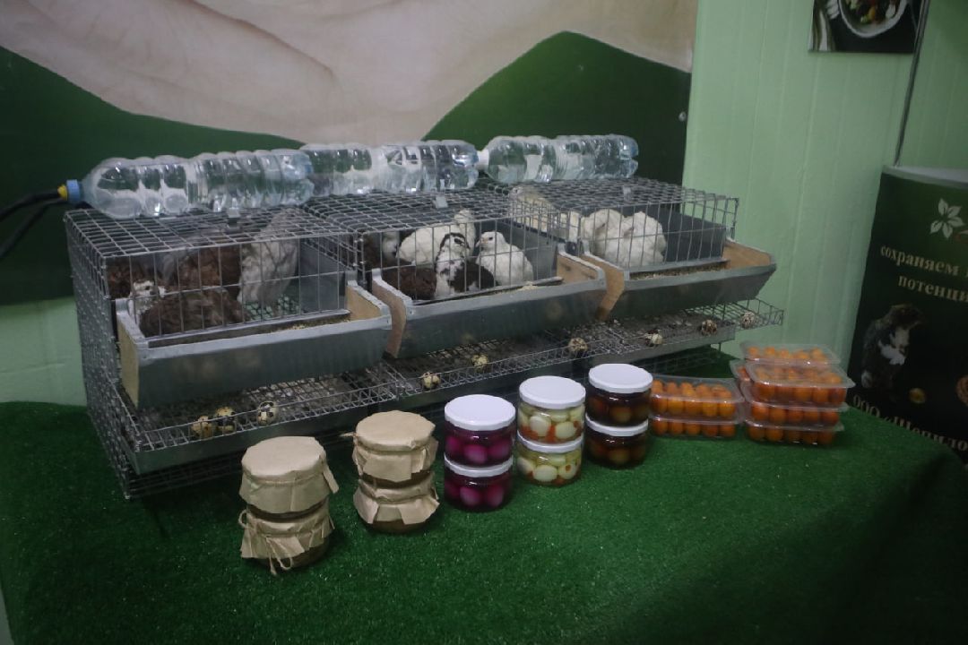 Пущино, Серпухов, Шепилово, Подмосковье, предприятие, минсельхоз, аграрии, сельское хозяйство, фермерство, перепела, птицеводство