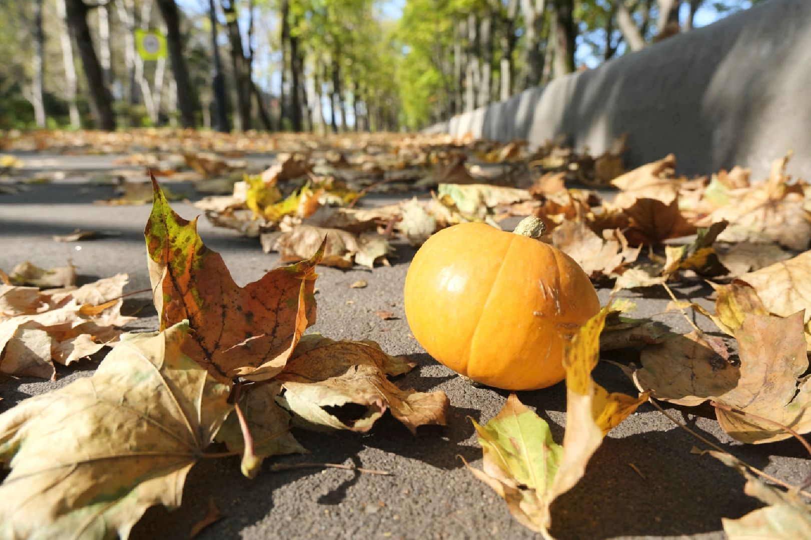 пущино, психология,