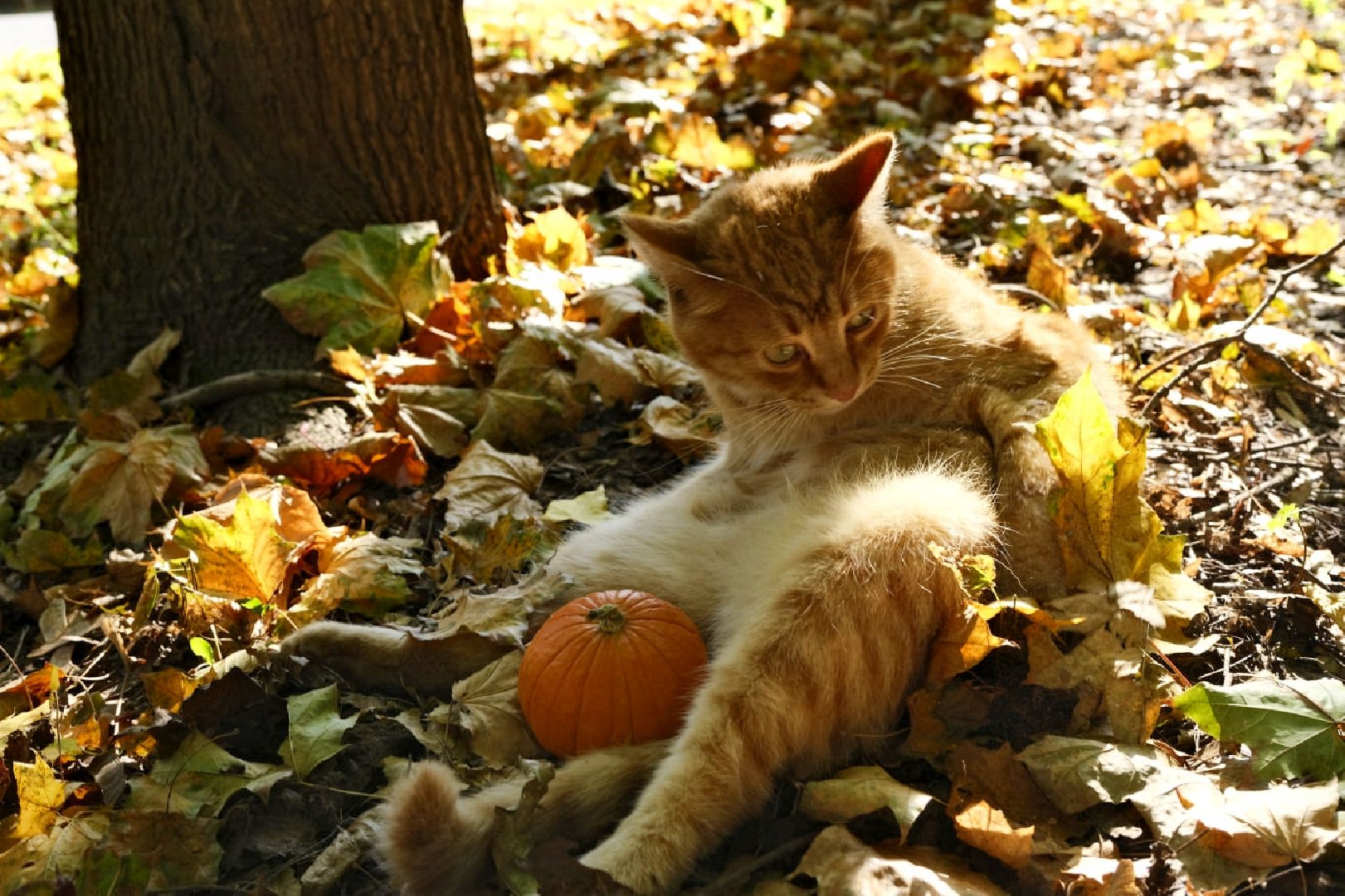 пущино, психология,