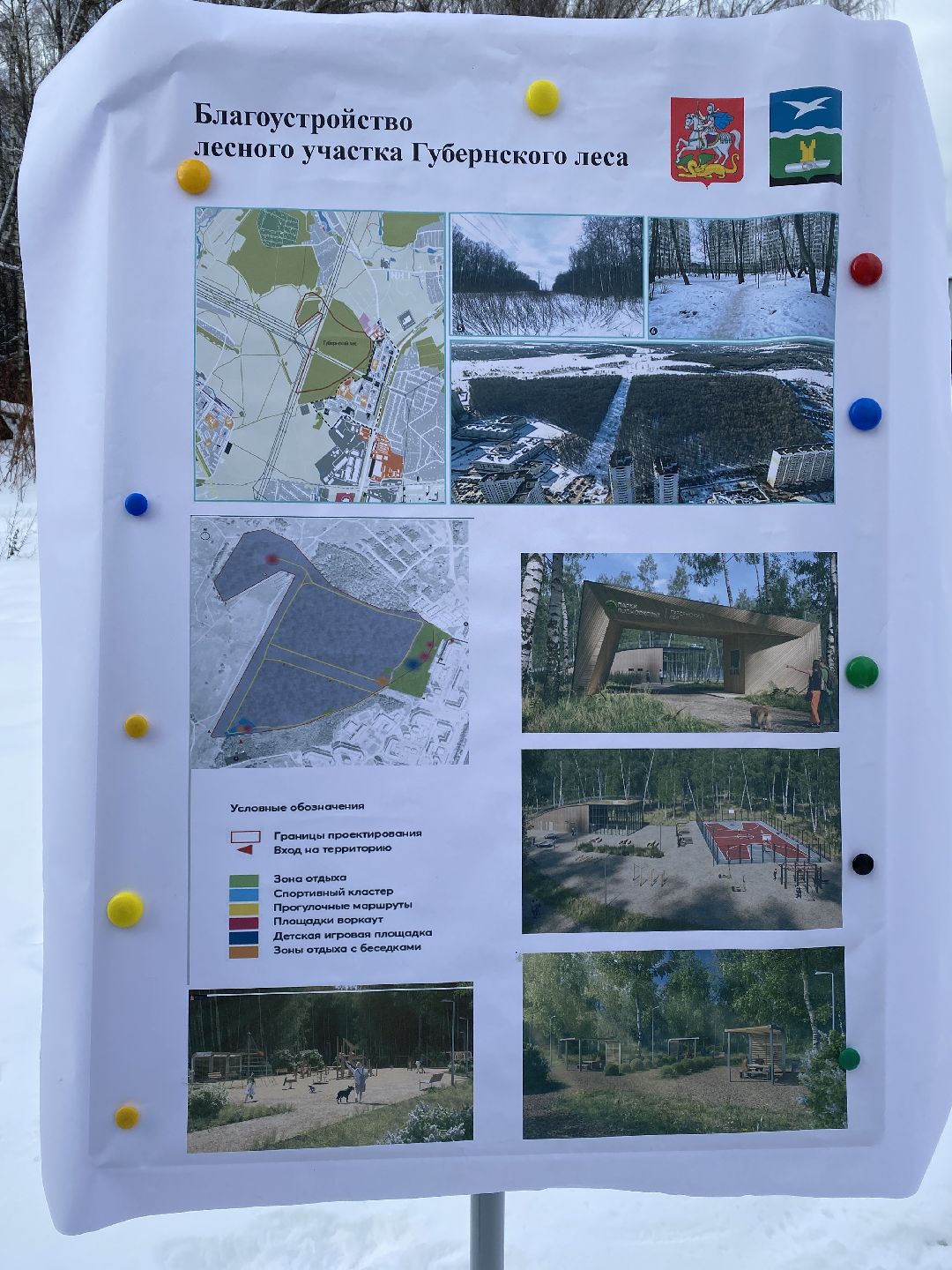 Благоустройство, Чехов, школьник, лес