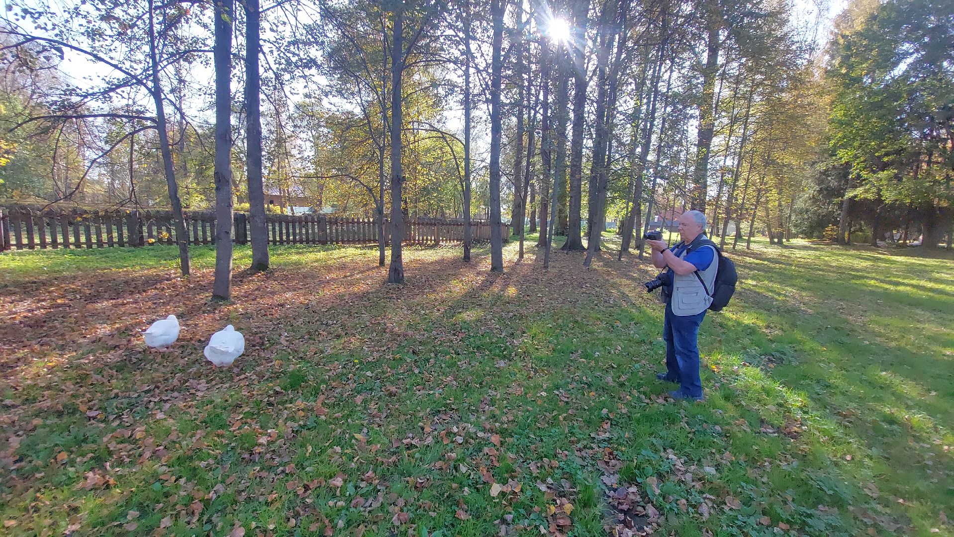 Гуси, музеиподмосковья, Музей Чехова, Мелихово, Подмосковье, Культура,