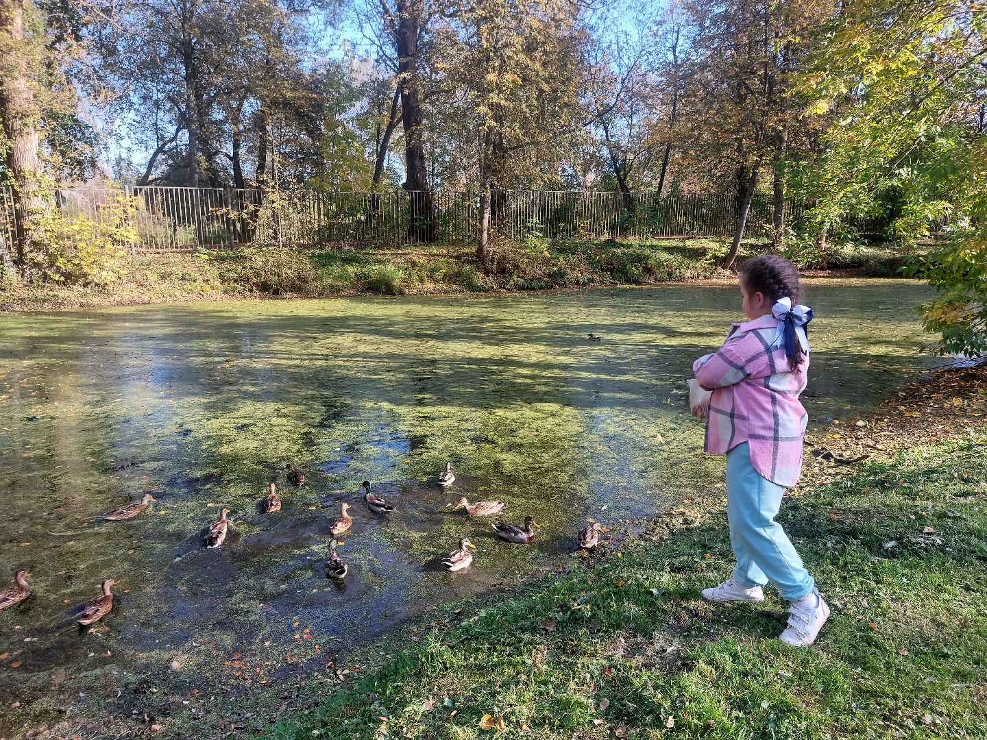 Гуси, музеиподмосковья, Музей Чехова, Мелихово, Подмосковье, Культура,