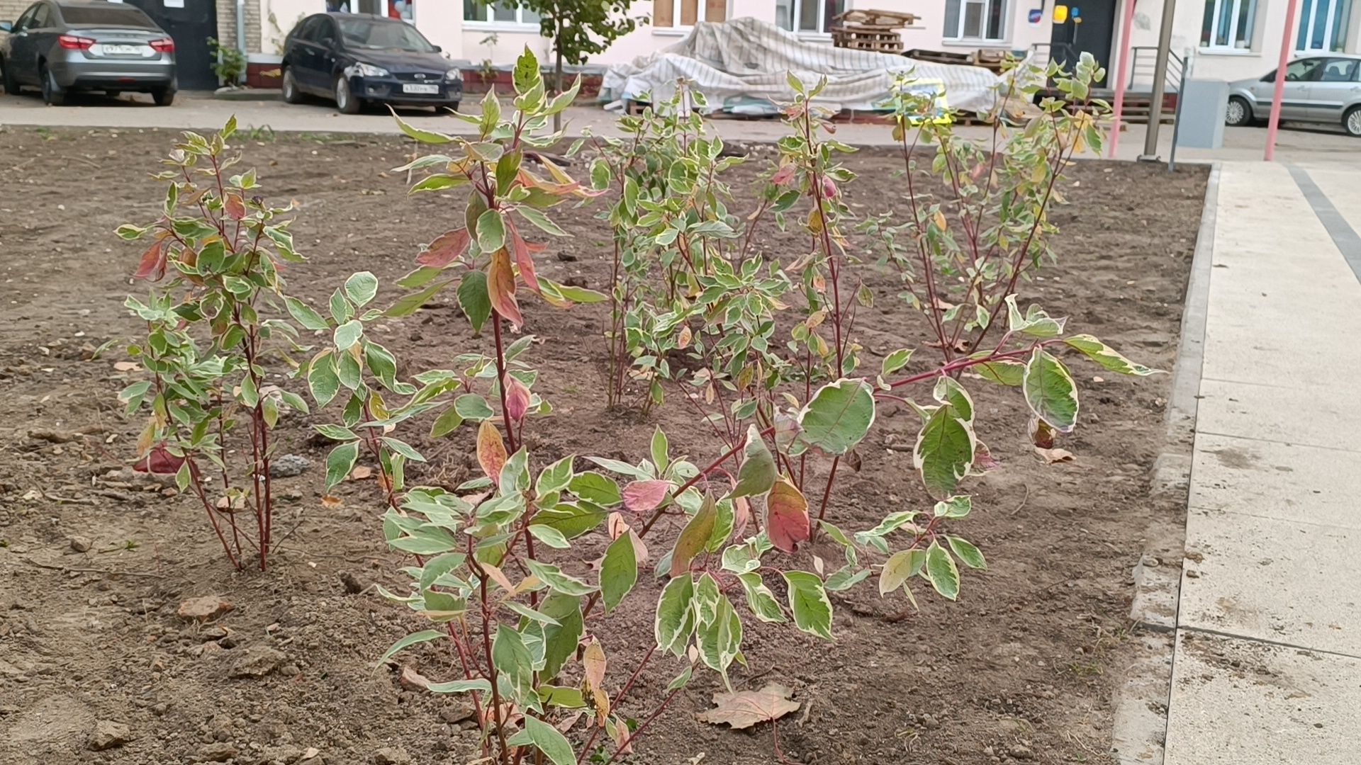 лобня, сквер, благоуйстройство,