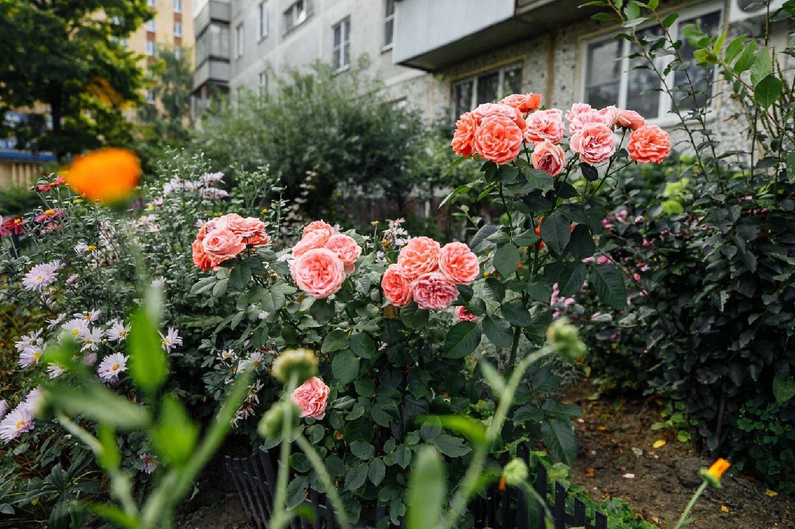 благоустройство, дворы, единая россия, конкурс, орехово-зуево, куровское,