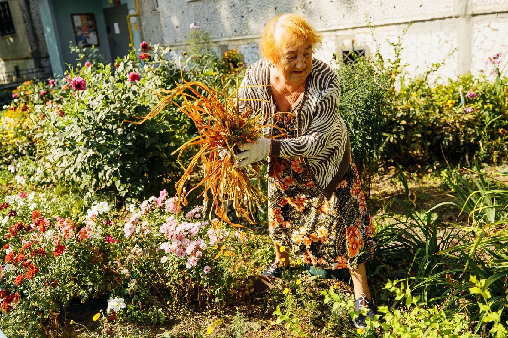 благоустройство, дворы, единая россия, конкурс, орехово-зуево, куровское,