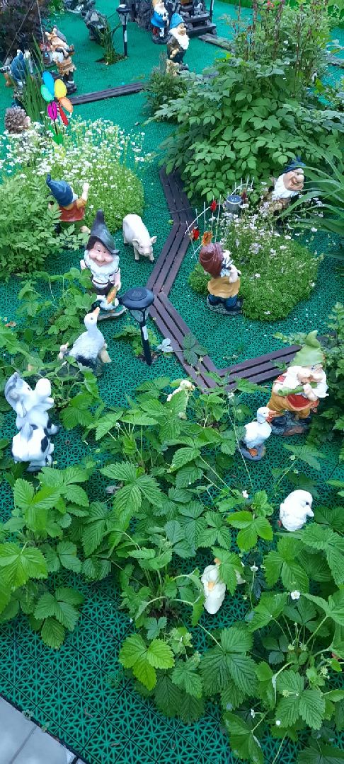 волоколамск, садовник, учитель, дети, школа, растения,