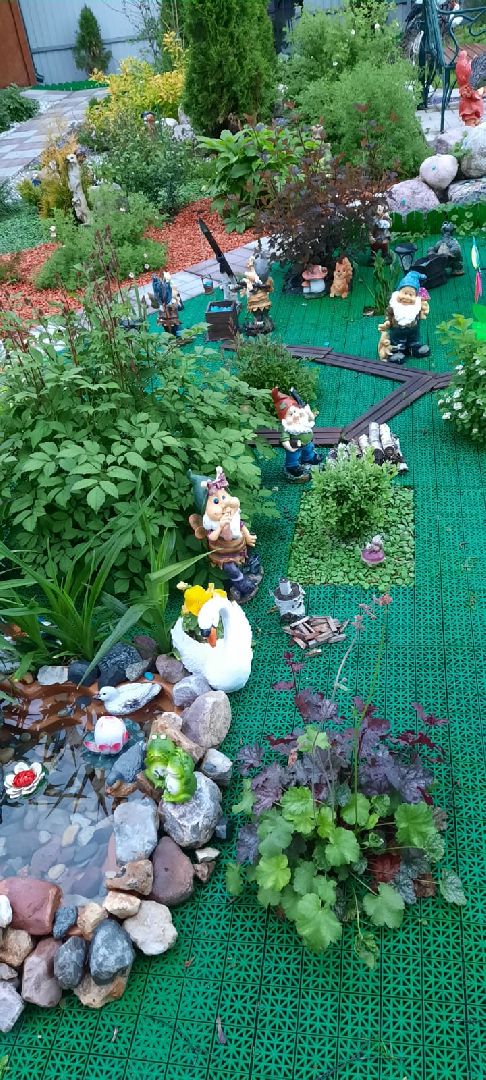 волоколамск, садовник, учитель, дети, школа, растения,