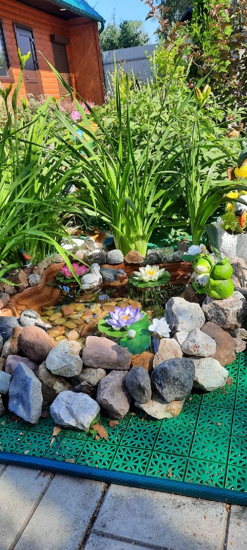 волоколамск, садовник, учитель, дети, школа, растения,