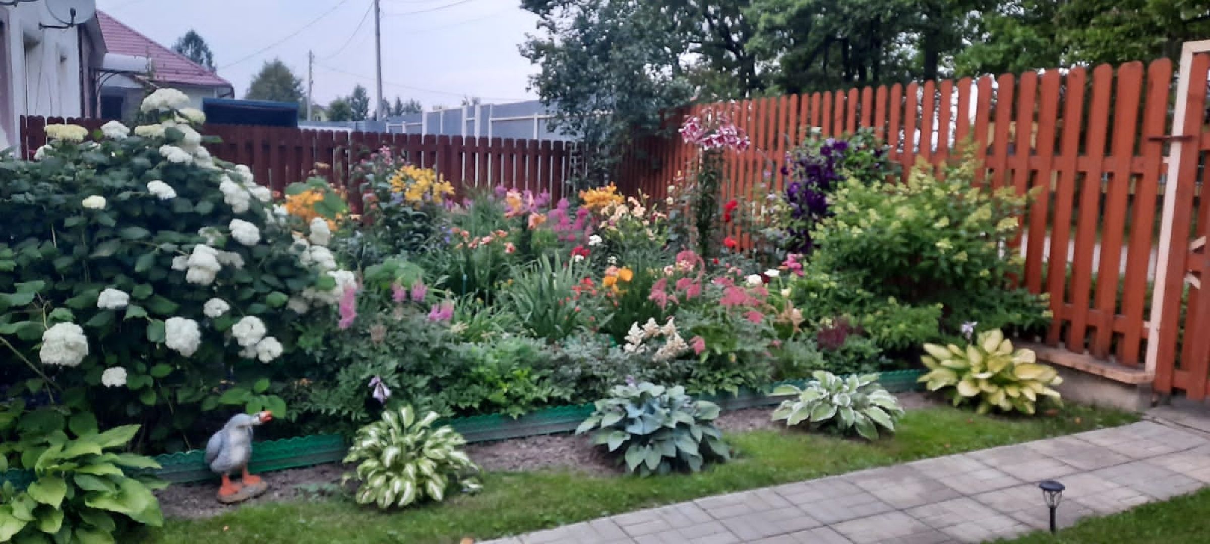 волоколамск, садовник, учитель, дети, школа, растения,