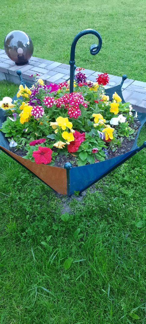 волоколамск, садовник, учитель, дети, школа, растения,