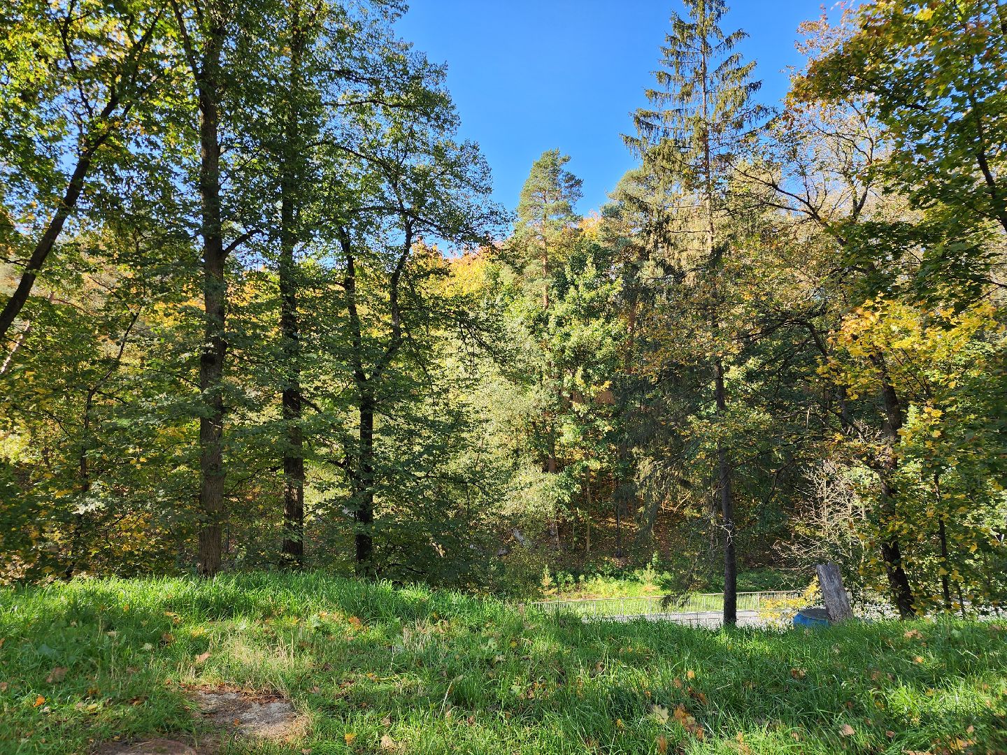 Звенигород, Благоустройство, Малиновый овраг, Прогулочная зона Звенигорода,