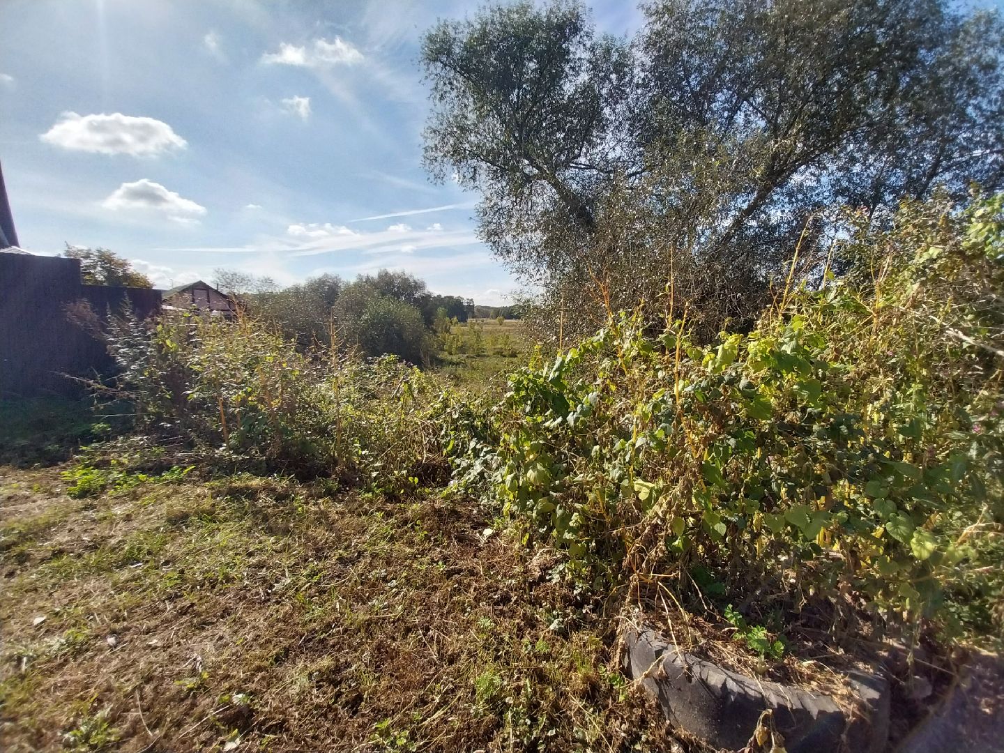 Коломна, история, легенды, Исторические легенды, Краеведение,