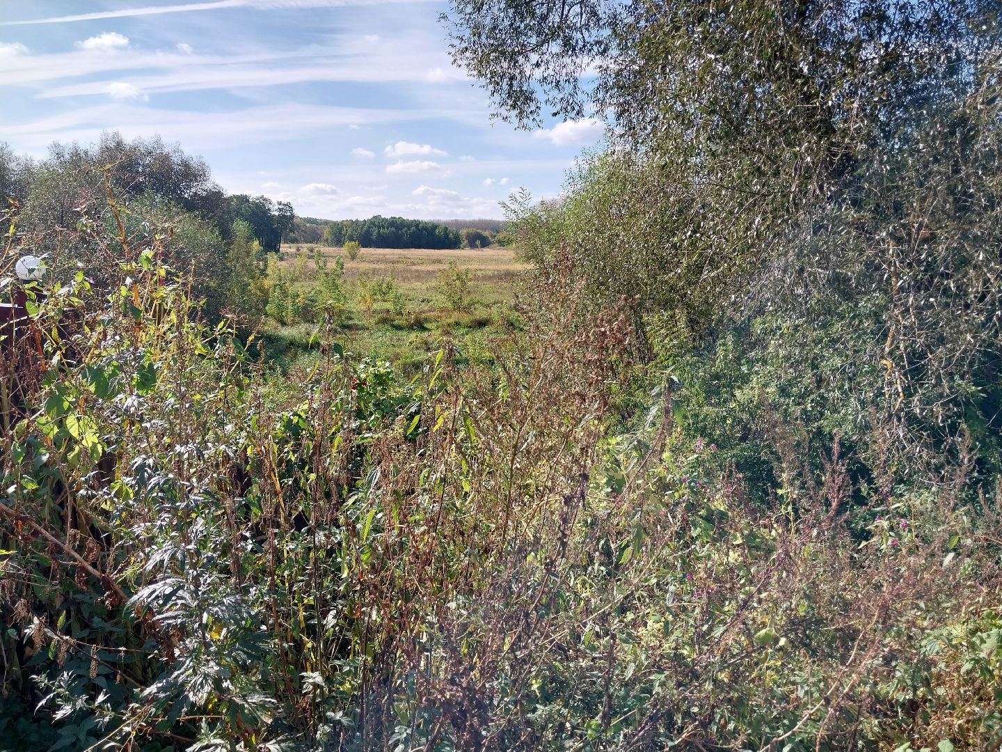 Коломна, история, легенды, Исторические легенды, Краеведение,