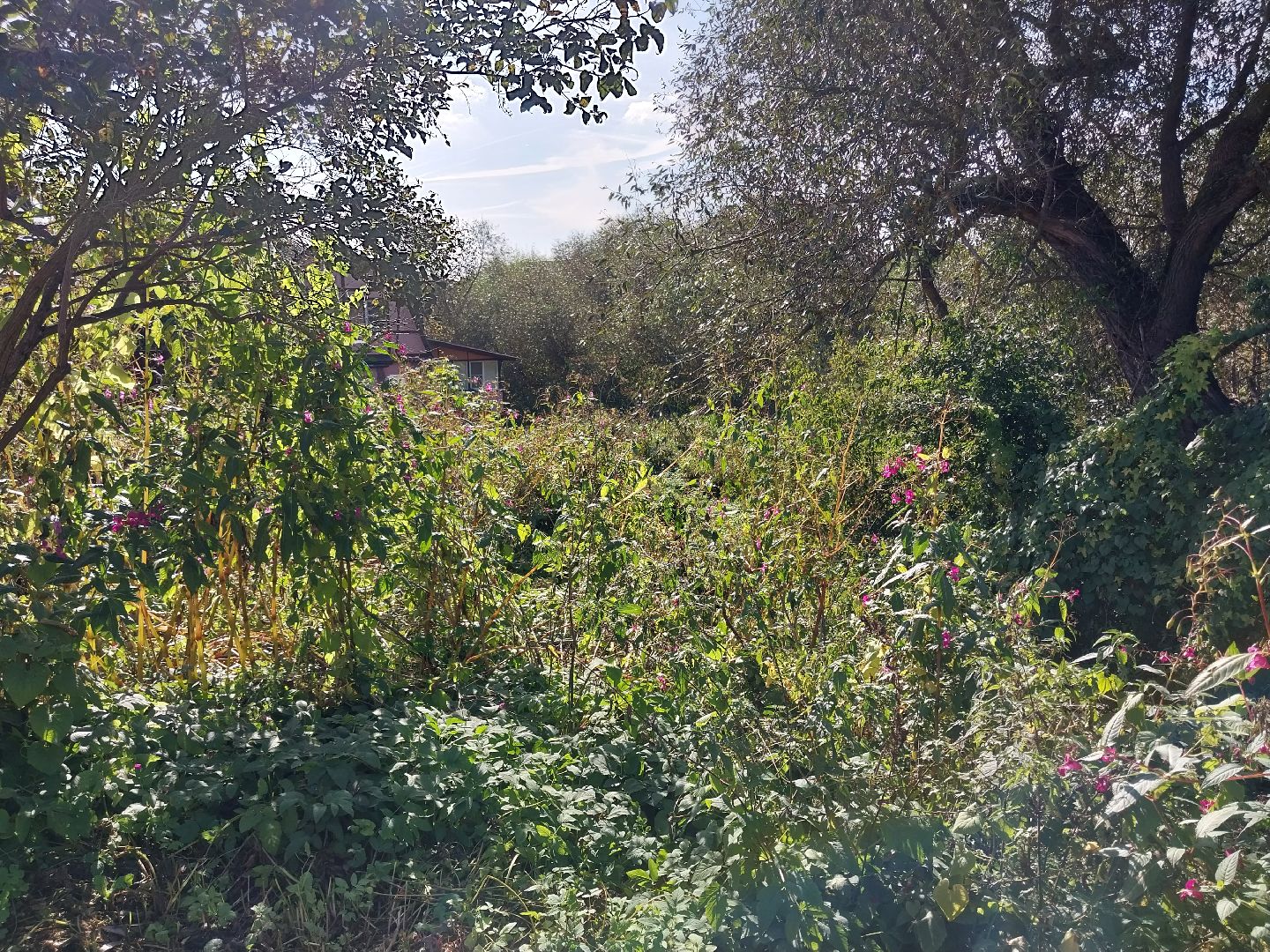 Коломна, история, легенды, Исторические легенды, Краеведение,